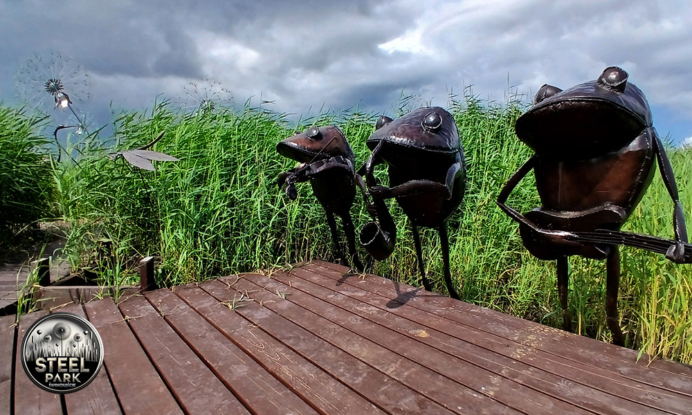 Rejs do Steel Park